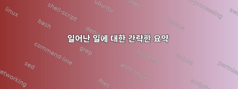 일어난 일에 대한 간략한 요약