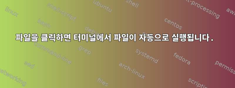 파일을 클릭하면 터미널에서 파일이 자동으로 실행됩니다.