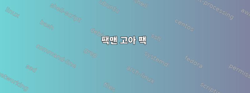 팩맨 고아 팩