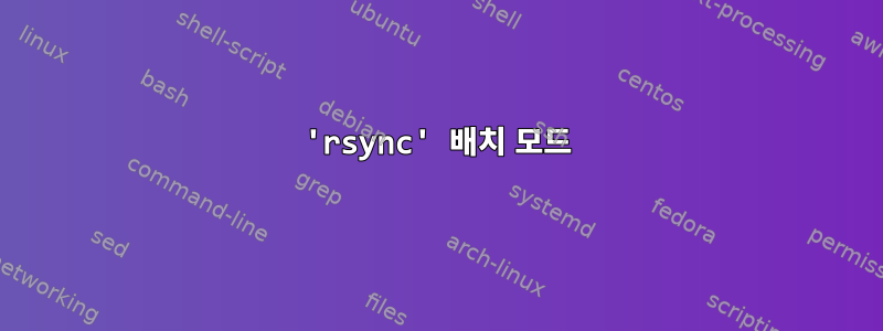 'rsync' 배치 모드