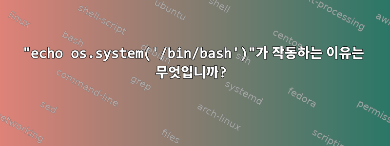 "echo os.system('/bin/bash')"가 작동하는 이유는 무엇입니까?