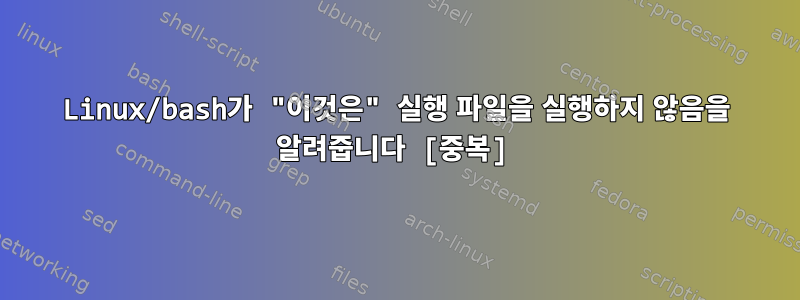 Linux/bash가 "이것은" 실행 파일을 실행하지 않음을 알려줍니다 [중복]