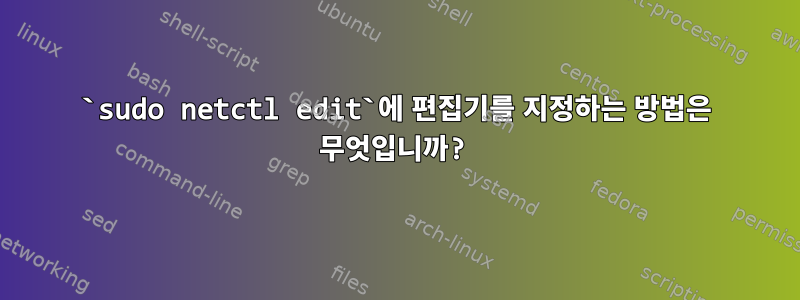 `sudo netctl edit`에 편집기를 지정하는 방법은 무엇입니까?