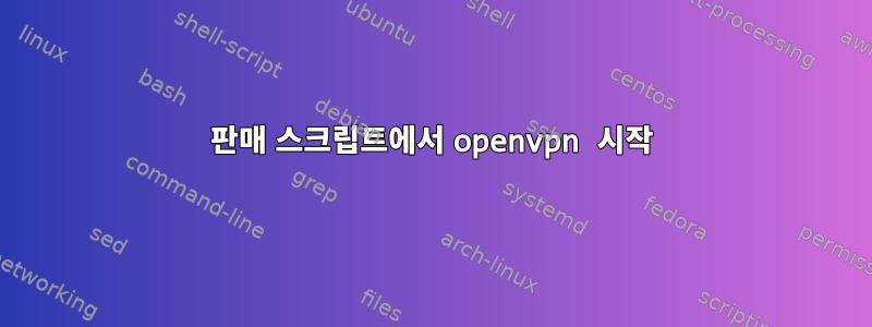 판매 스크립트에서 openvpn 시작