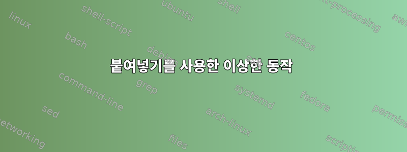 붙여넣기를 사용한 이상한 동작