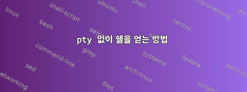 pty 없이 쉘을 얻는 방법