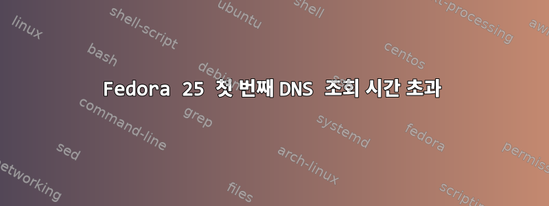 Fedora 25 첫 번째 DNS 조회 시간 초과