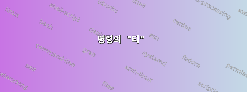 명령의 "티"