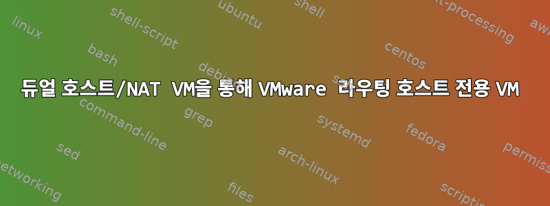 듀얼 호스트/NAT VM을 통해 VMware 라우팅 호스트 전용 VM