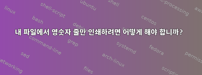 내 파일에서 영숫자 줄만 인쇄하려면 어떻게 해야 합니까?