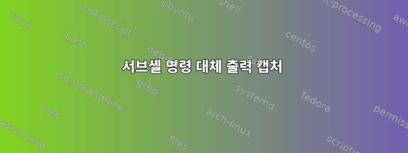 서브셸 명령 대체 출력 캡처