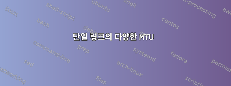 단일 링크의 다양한 MTU