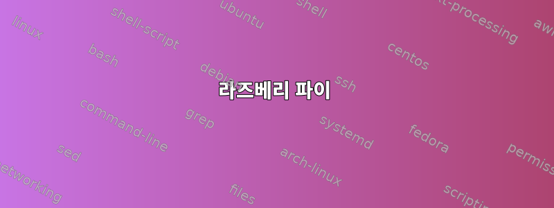 라즈베리 파이