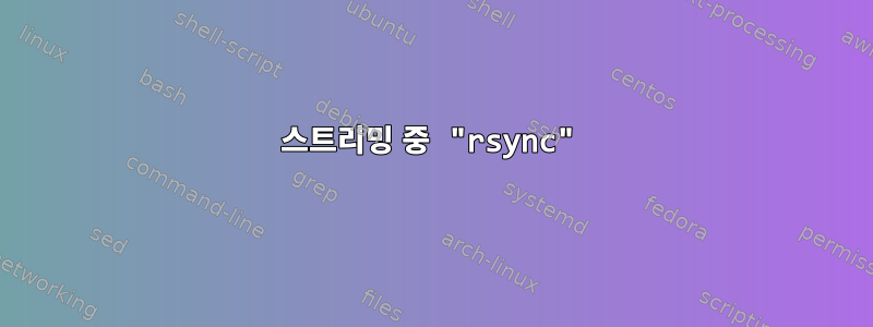 스트리밍 중 "rsync"