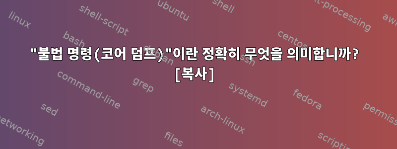 "불법 명령(코어 덤프)"이란 정확히 무엇을 의미합니까? [복사]