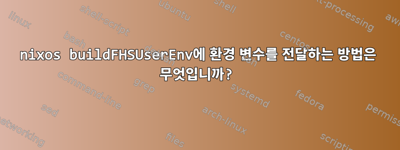 nixos buildFHSUserEnv에 환경 변수를 전달하는 방법은 무엇입니까?