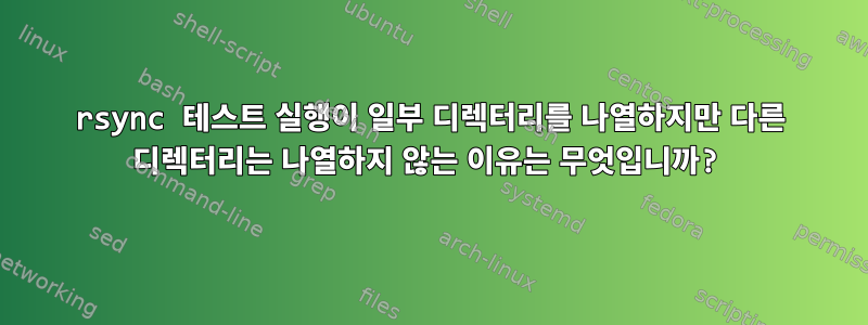 rsync 테스트 실행이 일부 디렉터리를 나열하지만 다른 디렉터리는 나열하지 않는 이유는 무엇입니까?