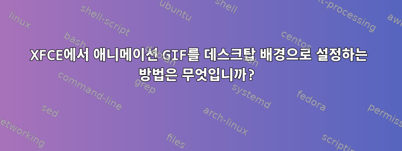 XFCE에서 애니메이션 GIF를 데스크탑 배경으로 설정하는 방법은 무엇입니까?