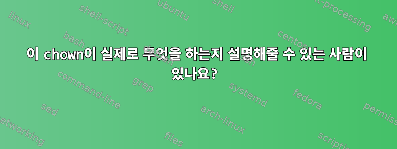 이 chown이 실제로 무엇을 하는지 설명해줄 수 있는 사람이 있나요?