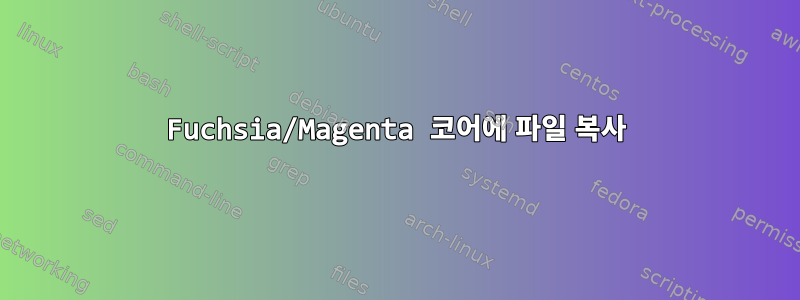 Fuchsia/Magenta 코어에 파일 복사