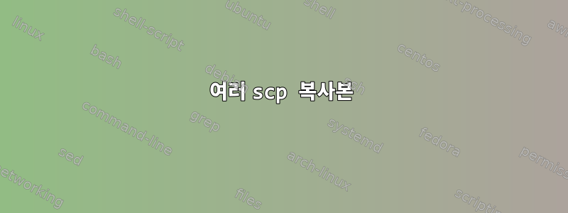 여러 scp 복사본