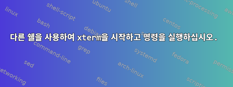 다른 쉘을 사용하여 xterm을 시작하고 명령을 실행하십시오.