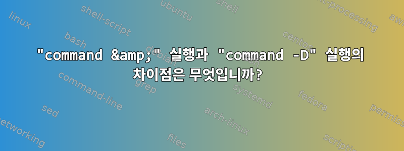 "command &amp;" 실행과 "command -D" 실행의 차이점은 무엇입니까?