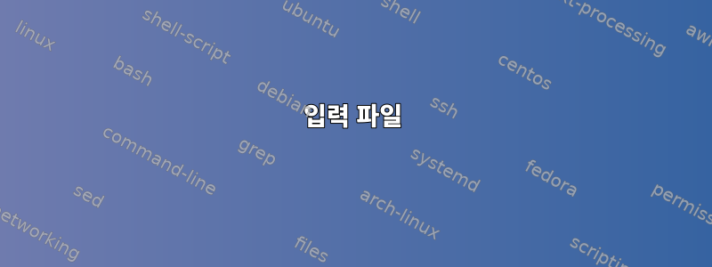 입력 파일