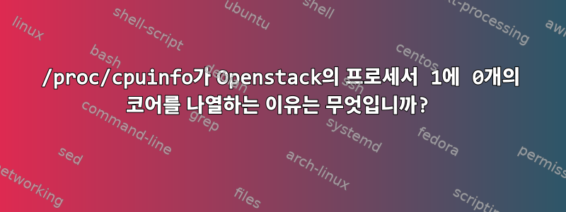 /proc/cpuinfo가 Openstack의 프로세서 1에 0개의 코어를 나열하는 이유는 무엇입니까?