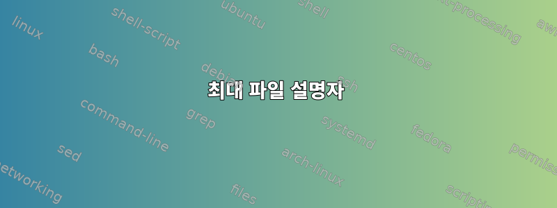 최대 파일 설명자