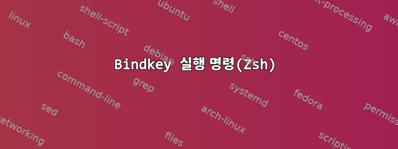 Bindkey 실행 명령(Zsh)