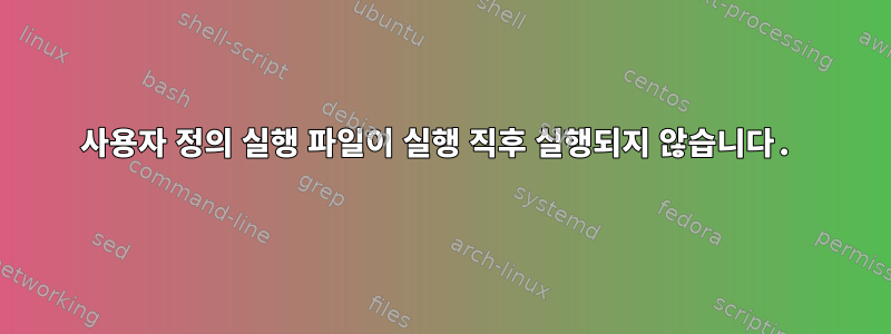 사용자 정의 실행 파일이 실행 직후 실행되지 않습니다.