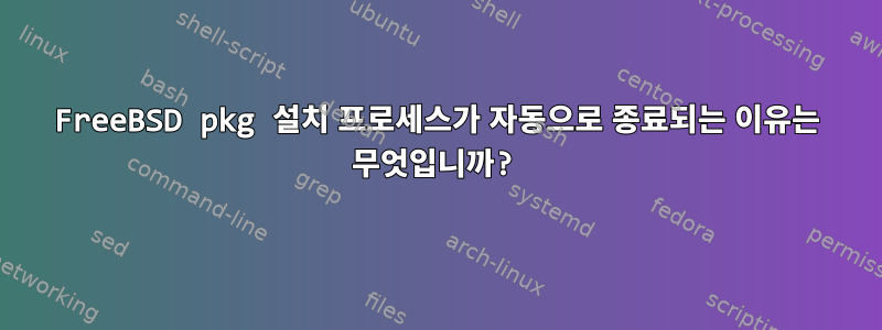 FreeBSD pkg 설치 프로세스가 자동으로 종료되는 이유는 무엇입니까?