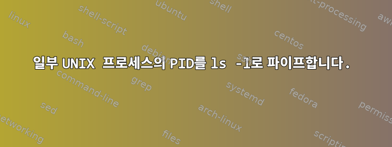 일부 UNIX 프로세스의 PID를 ls -l로 파이프합니다.