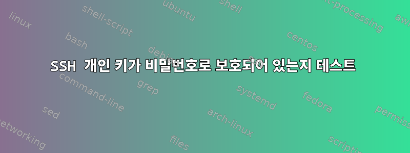 SSH 개인 키가 비밀번호로 보호되어 있는지 테스트