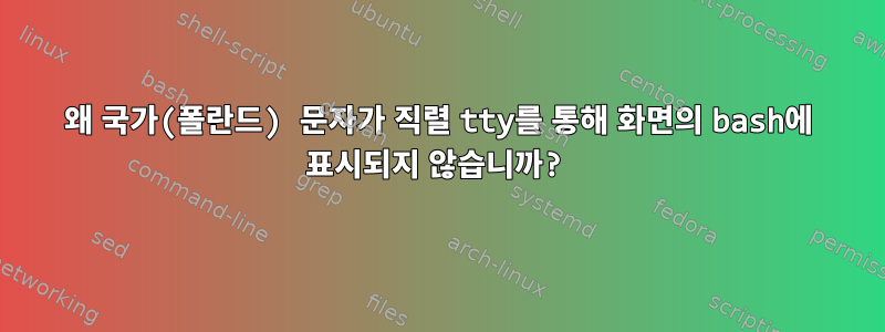 왜 국가(폴란드) 문자가 직렬 tty를 통해 화면의 bash에 표시되지 않습니까?