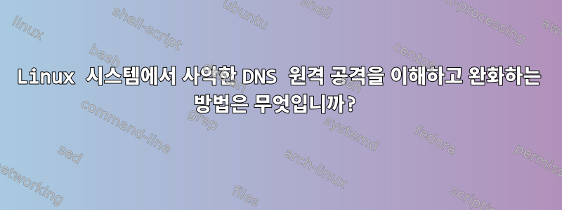 Linux 시스템에서 사악한 DNS 원격 공격을 이해하고 완화하는 방법은 무엇입니까?