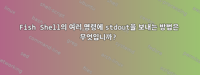 Fish Shell의 여러 명령에 stdout을 보내는 방법은 무엇입니까?