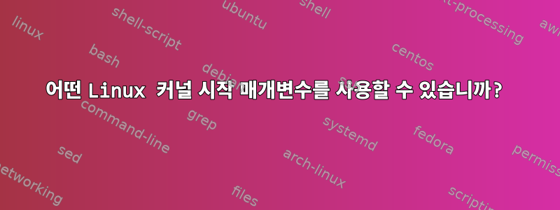 어떤 Linux 커널 시작 매개변수를 사용할 수 있습니까?