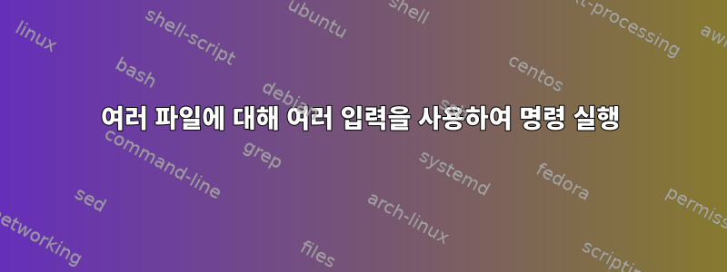 여러 파일에 대해 여러 입력을 사용하여 명령 실행