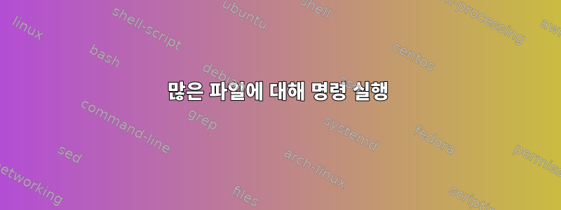 많은 파일에 대해 명령 실행