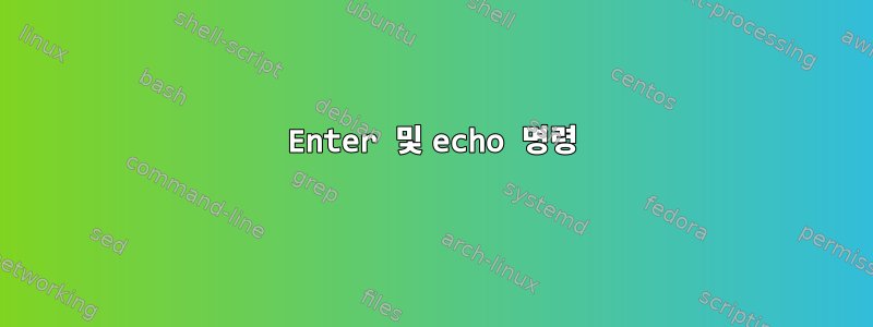 Enter 및 echo 명령