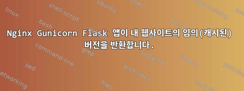 Nginx Gunicorn Flask 앱이 내 웹사이트의 임의(캐시된) 버전을 반환합니다.