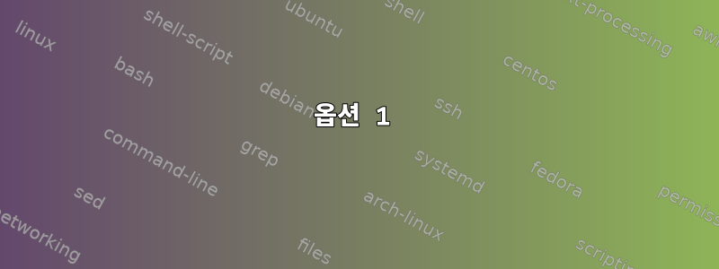 옵션 1