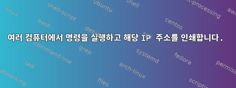 여러 컴퓨터에서 명령을 실행하고 해당 IP 주소를 인쇄합니다.