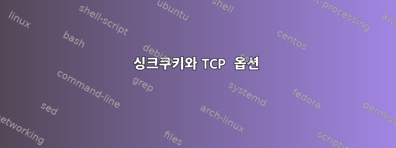 싱크쿠키와 TCP 옵션