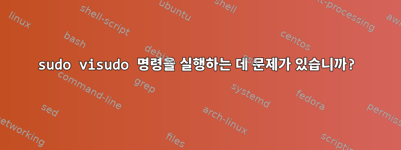 sudo visudo 명령을 실행하는 데 문제가 있습니까?