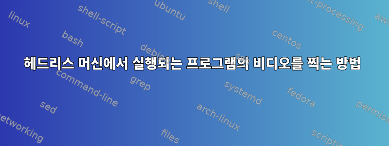 헤드리스 머신에서 실행되는 프로그램의 비디오를 찍는 방법