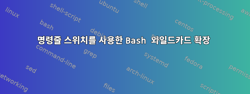 명령줄 스위치를 사용한 Bash 와일드카드 확장