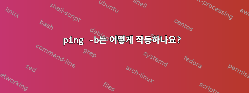 ping -b는 어떻게 작동하나요?